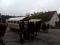 Bild#34(1. Mai Planwagenfahrt (17).jpg)