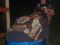 Bild#34(Bild_639.jpg)