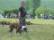 Bild#16(BlackBats2010_14(14).jpg)
