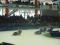 Bild#2(Eisspeedway Inzell 2013_2.jpg)