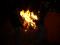Bild#5(Halloween HD Franken 09_Sarg_002.jpg)